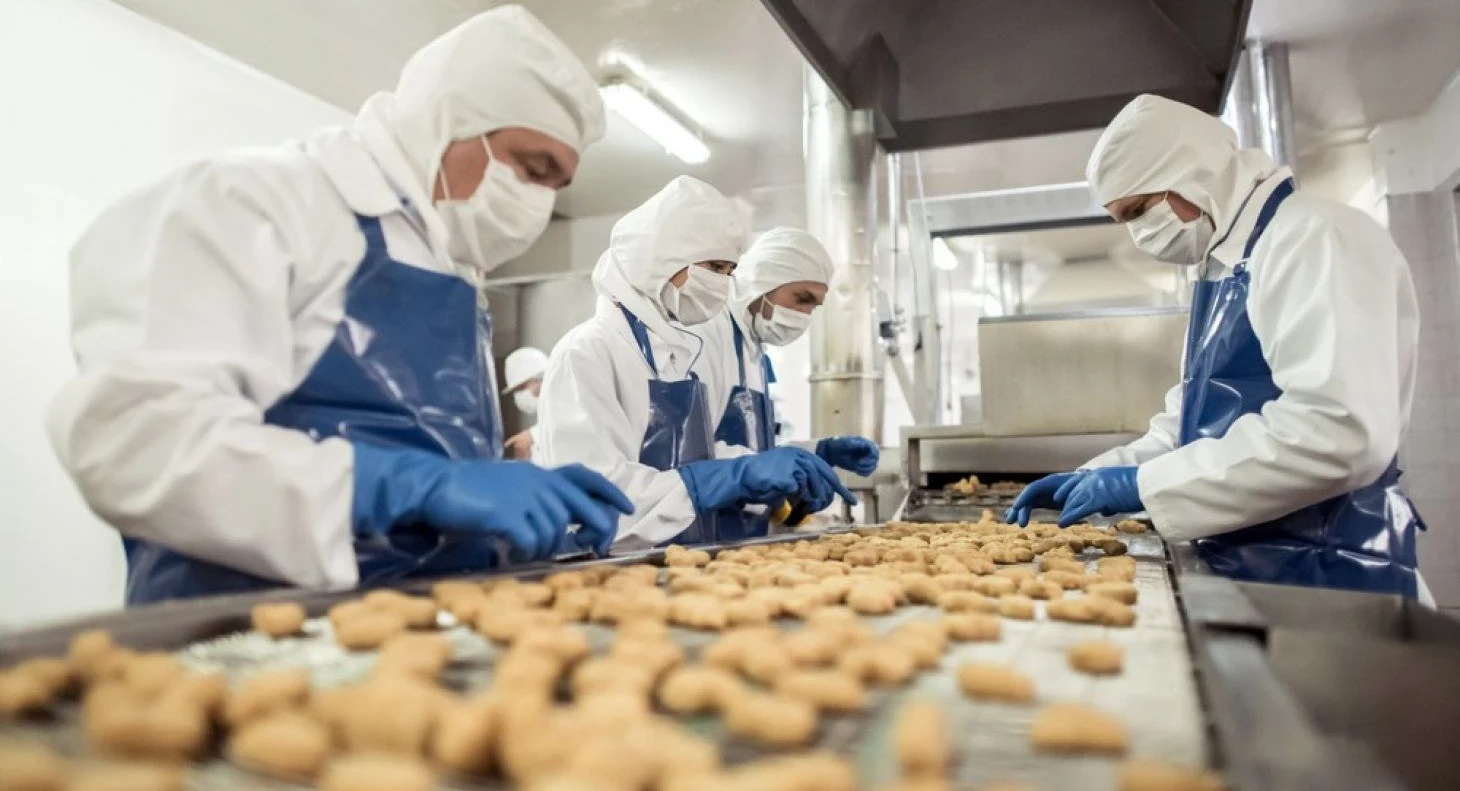 Pengendalian Mutu Makanan Beku